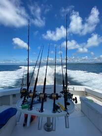 Dorado all day long!