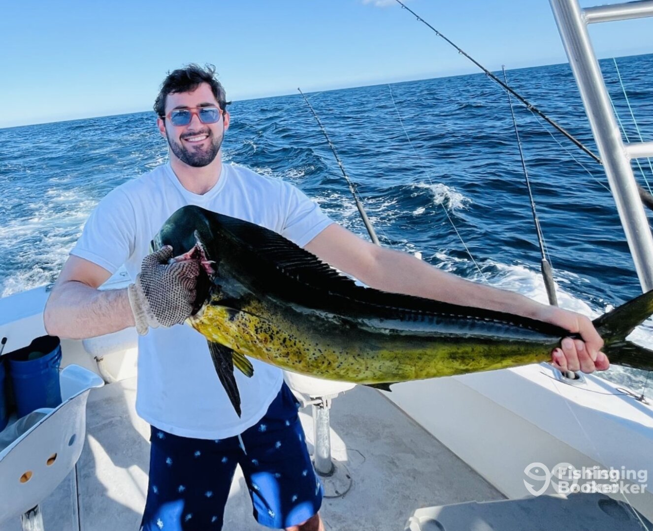 San Jose del Cabo Report Photo 0