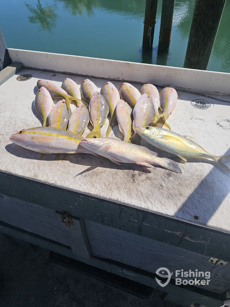 Tavernier Report Photo 0