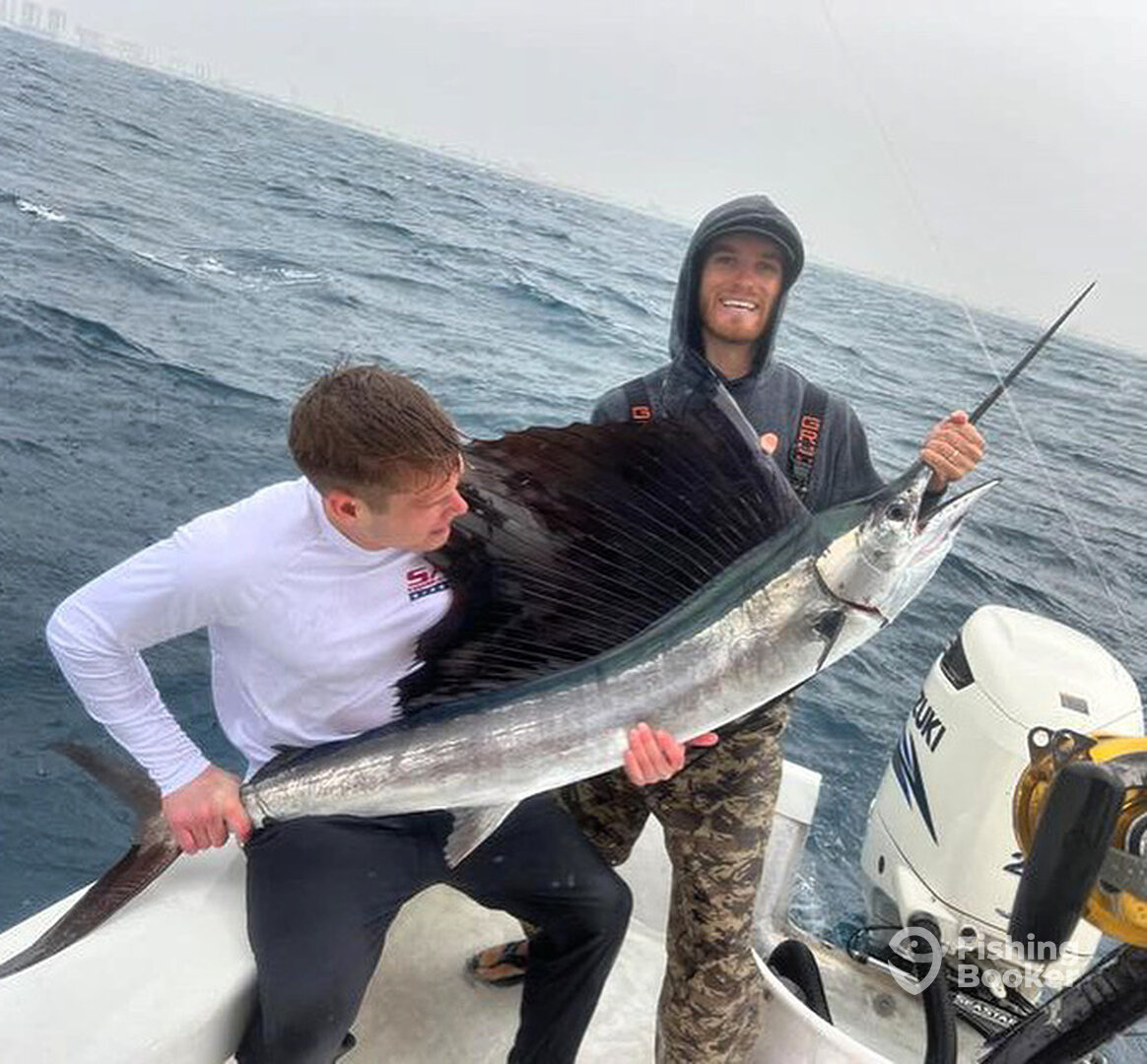 Dania Beach Report Photo 0