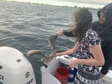 Fort Lauderdale Report Photo 2