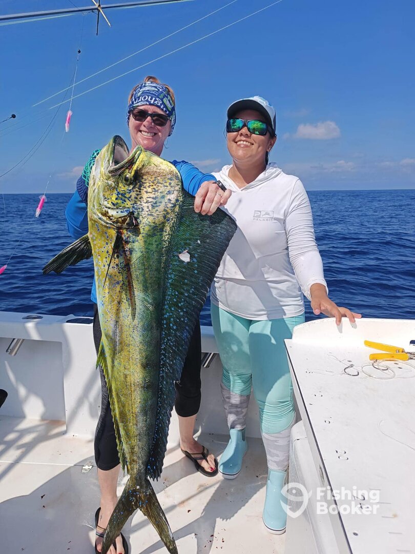 Quepos Report Photo 0