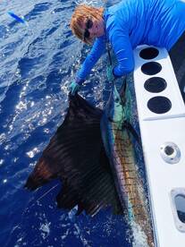 Quepos Report Photo 2