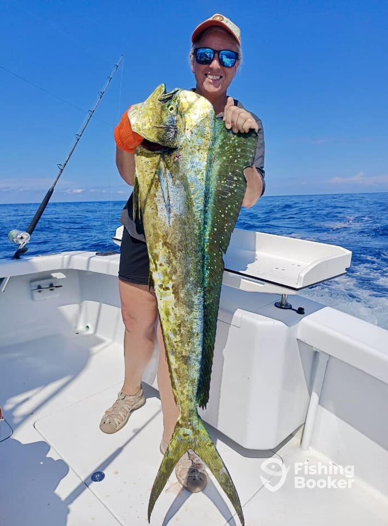 Quepos Report Photo 0