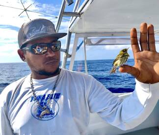 Quepos Report Photo 1