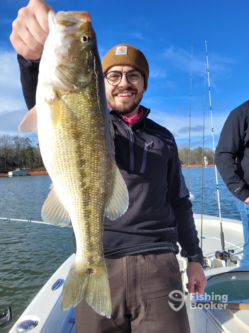 Gainesville Report Photo 0