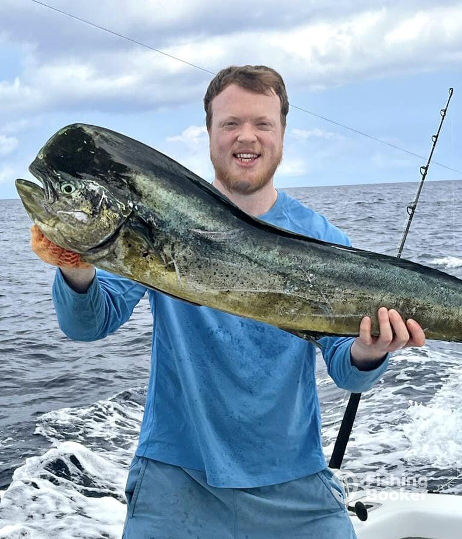 Quepos Report Photo 0