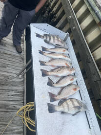 Winter bite is still happening  