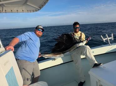 Sailfish show