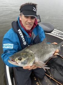 Amsterdam Report Photo 1