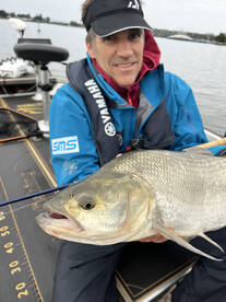 Amsterdam Report Photo 2