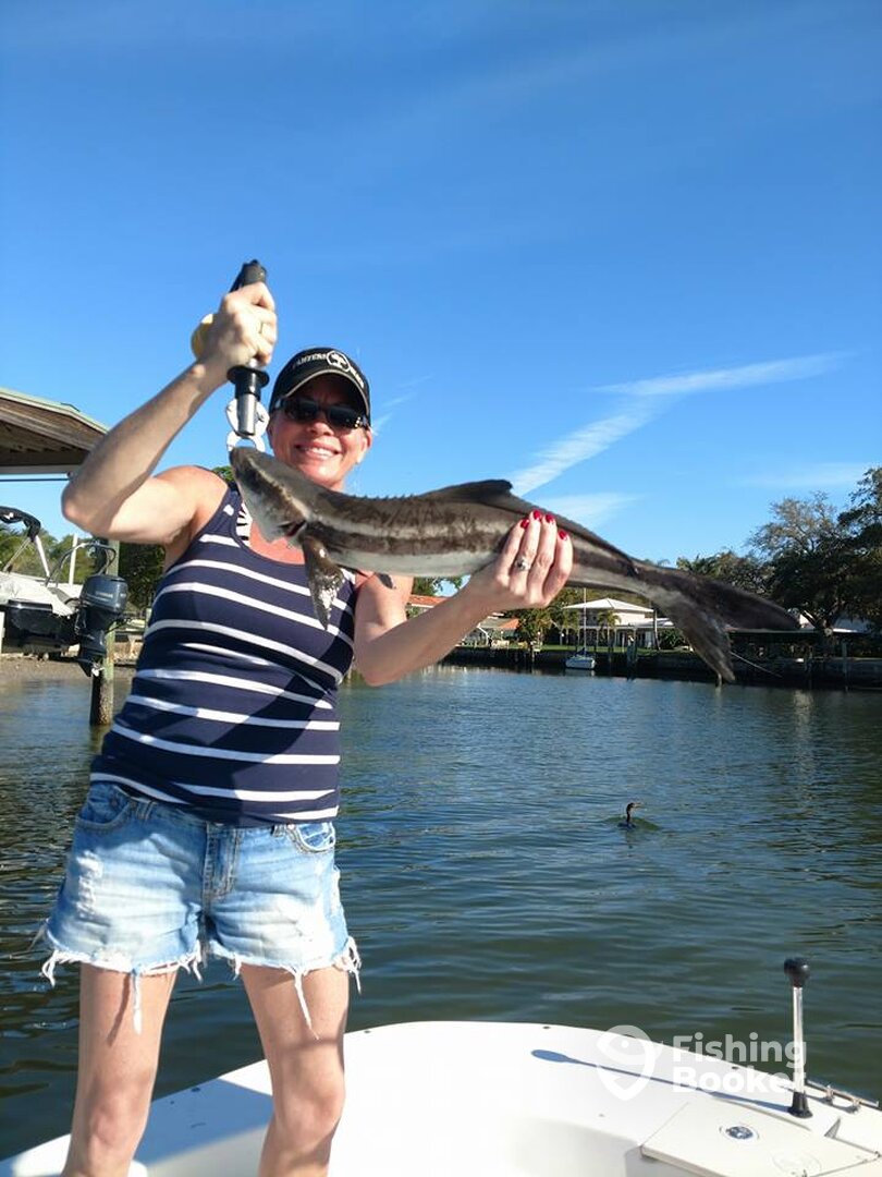 St. Petersburg Report Photo 0