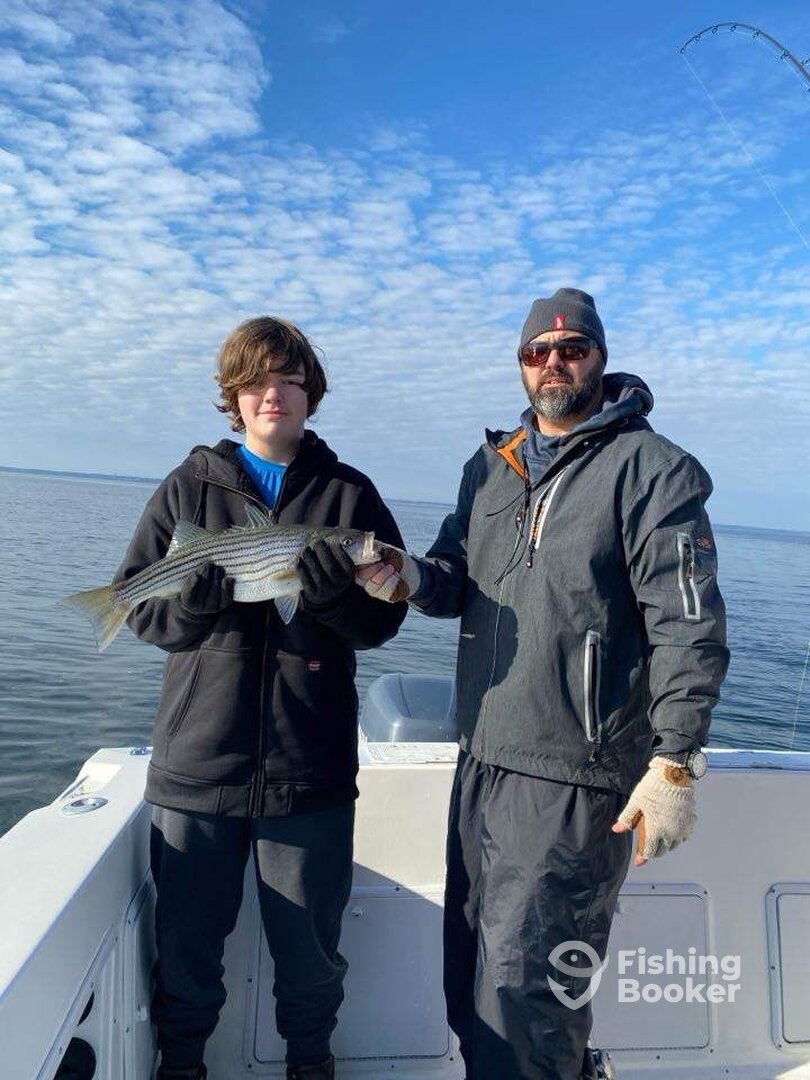 Grasonville Report Photo 0