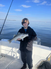 Grasonville Report Photo 2