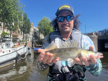 Amsterdam Report Photo 2