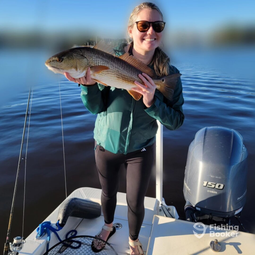 Mount Pleasant Report Photo 0