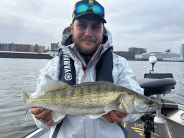 Amsterdam Report Photo 2