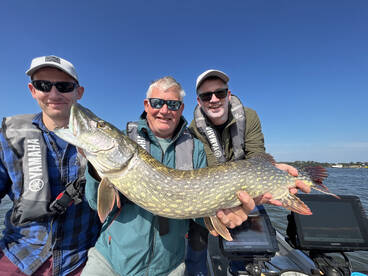 Amsterdam Report Photo 2