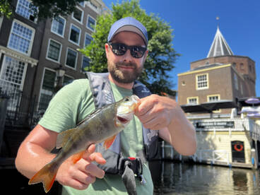 Amsterdam Report Photo 1