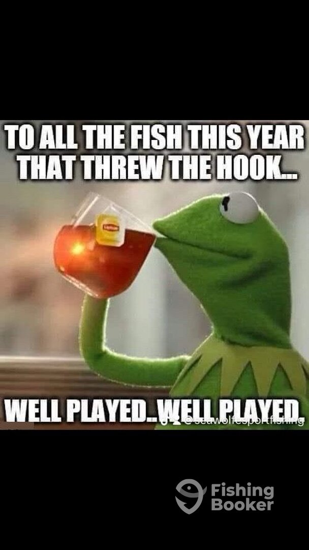 Sandys Report Photo 0