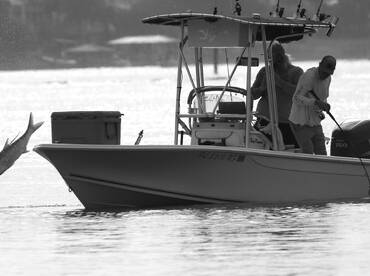 Tarpon Season Is Here Now!! We are seein