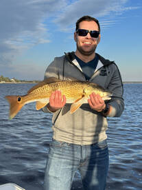 Mount Pleasant Report Photo 2