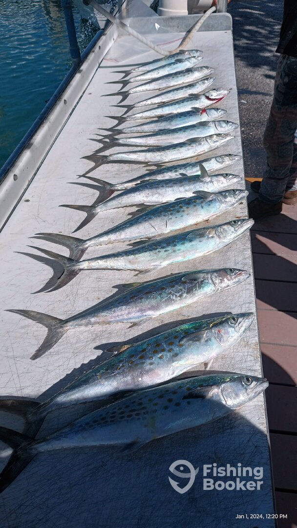 Port Canaveral Report Photo 0