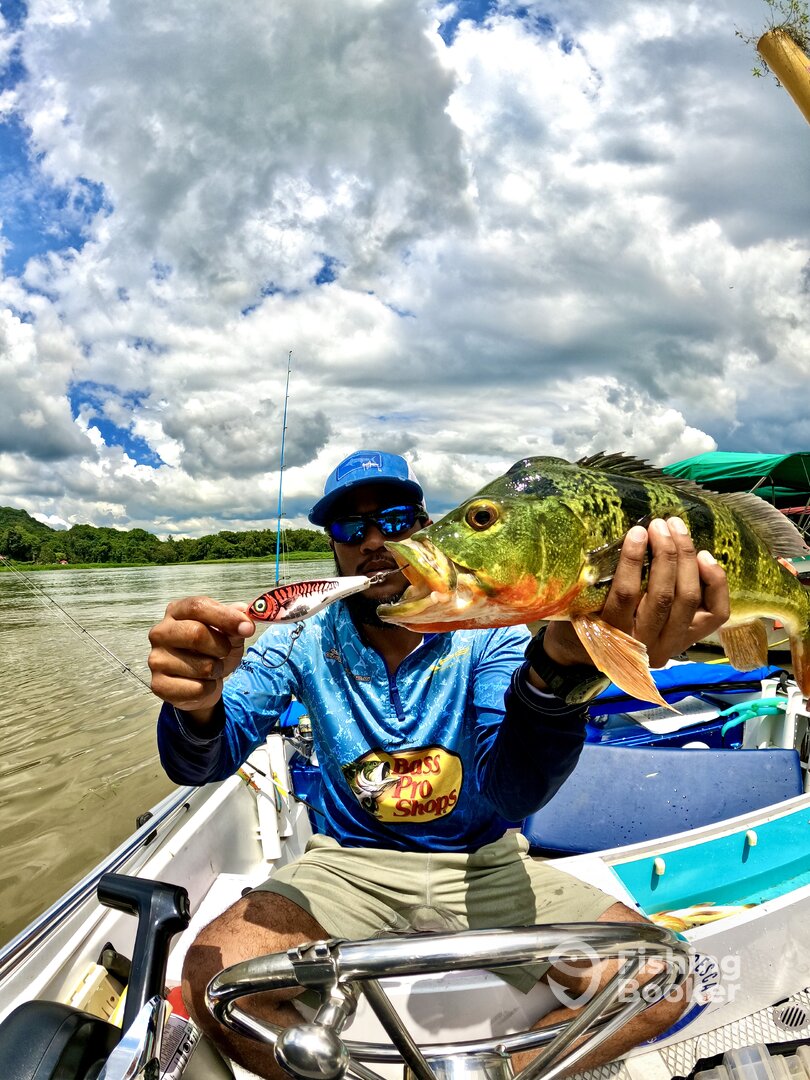 Gamboa Report Photo 0