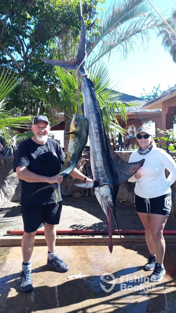 San Jose del Cabo Report Photo 0