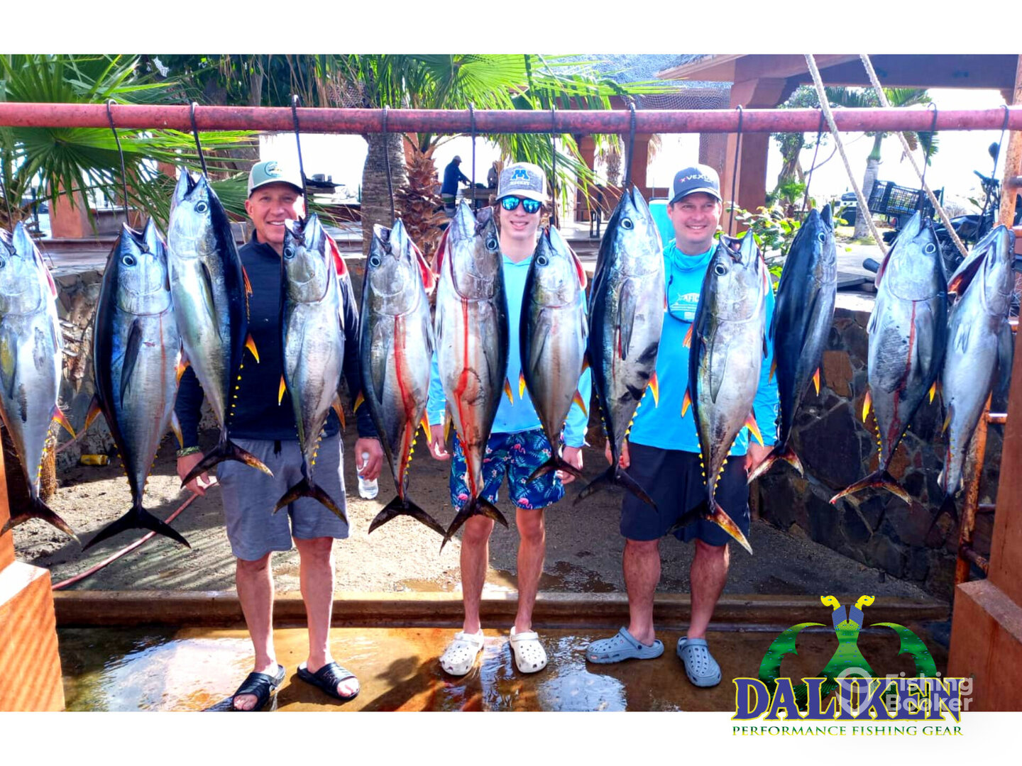 San Jose del Cabo Report Photo 0