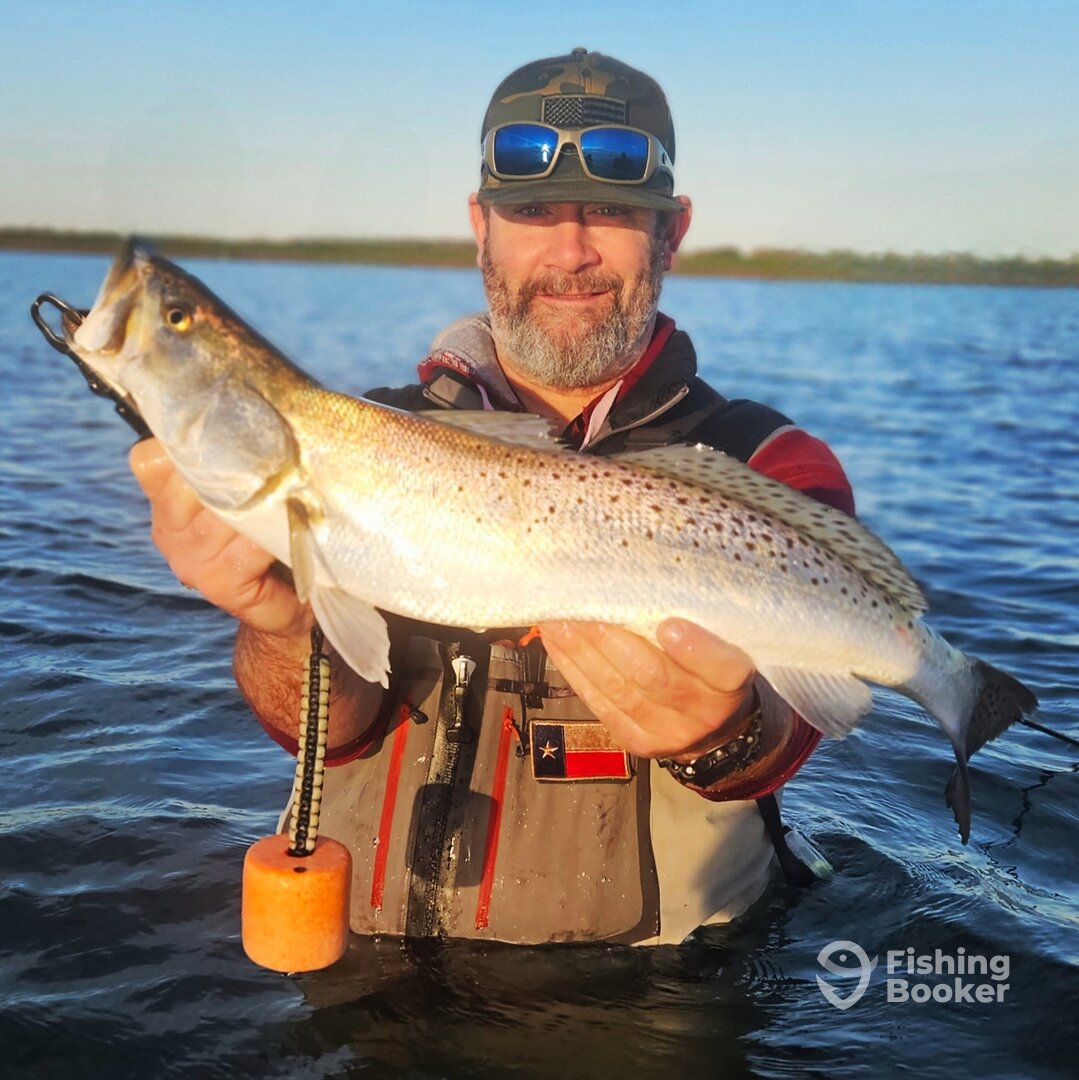 Port Aransas Report Photo 0