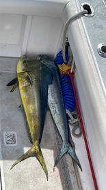 2024 staring off amazing 