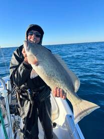 Offshore has been great this past week 