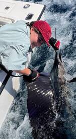 Playa Flamingo Report Photo 1