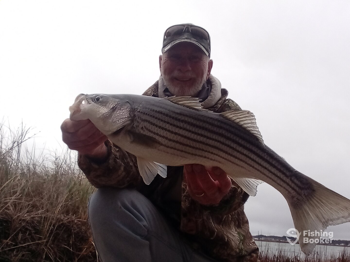 Chincoteague Report Photo 0