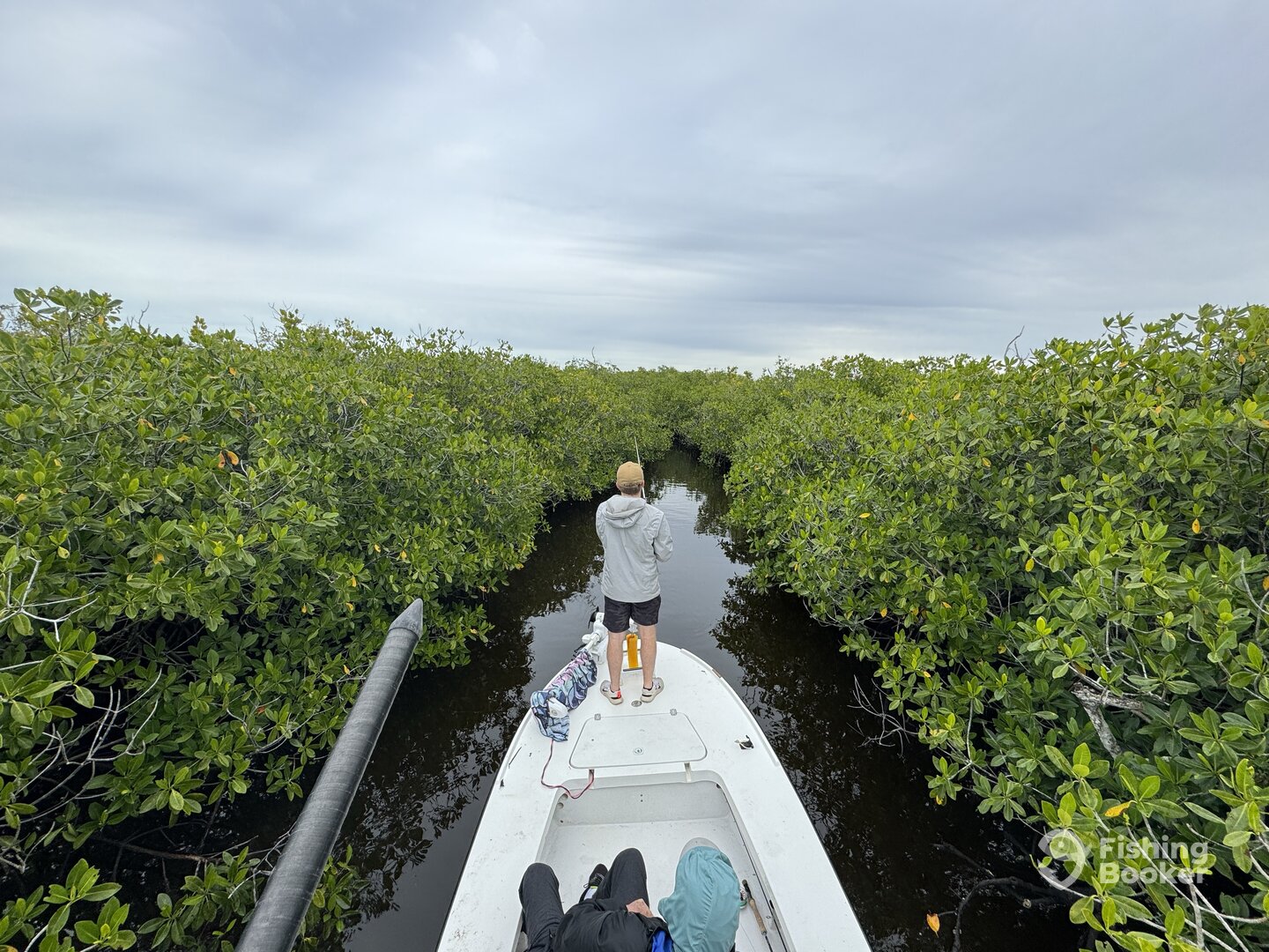 Naples Report Photo 0