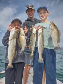 Trout - O - Ramma ... Finally ... 