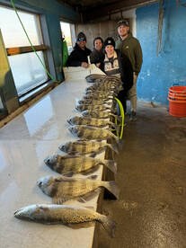 Port Aransas Report Photo 2