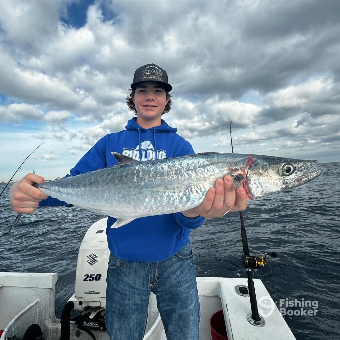 Dania Beach Report Photo 0