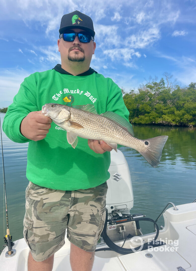 Punta Gorda Report Photo 0