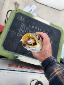 Hubert Report Photo 1