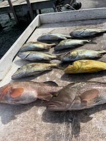 West Palm Beach Report Photo 2