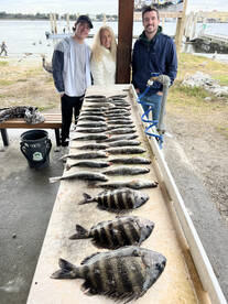 Jacksonville Report Photo 1