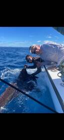 Playa Flamingo Report Photo 1