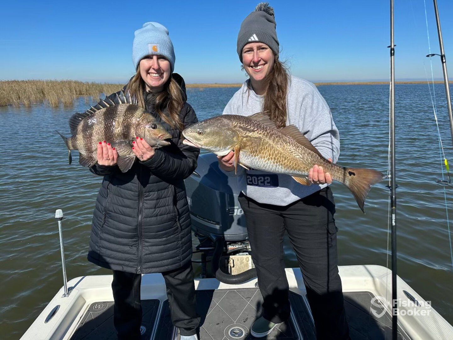 Venice Report Photo 0