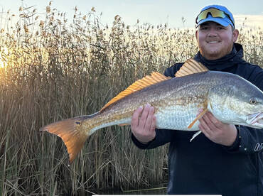 Venice Report Photo 2