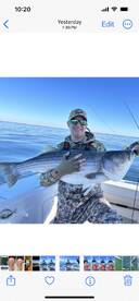 Best rockfishing in years