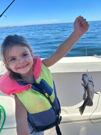 Cape Town Report Photo 1