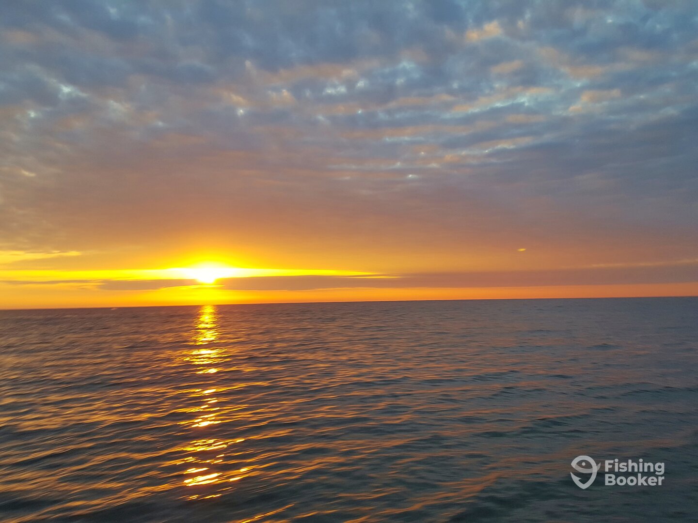 Orange Beach Report Photo 0