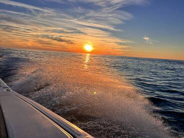 Great way to spend New Years Eve